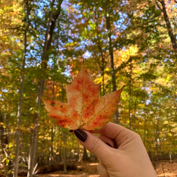 Meet your Posher, Cäit - Picture 1 of 1